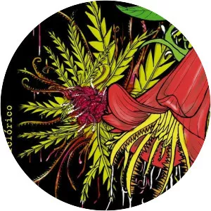 Miserables con Suerte