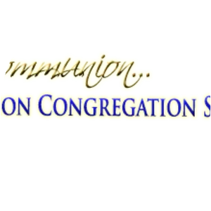 Missionary Sisters Servants of the Holy Spirit