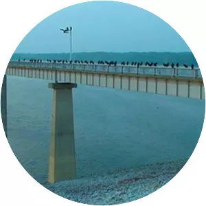 Mississinewa Lake Dam - 