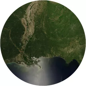 Mississippi Alluvial Plain - 