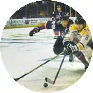 Mississippi RiverKings