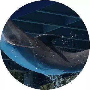 Mississippi Sound - Sound in Mississippi