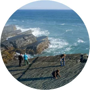 Mistaken Point Ecological Reserve - 