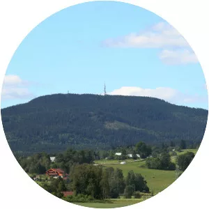 Mistberget
