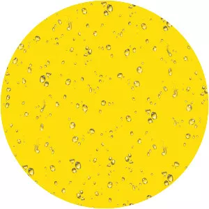 Mister Water Wet photograph