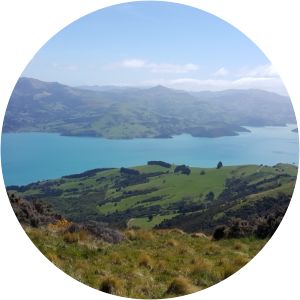 Misty Peaks Reserve - 