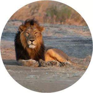 Mitiyala Wildlife Sanctuary - 