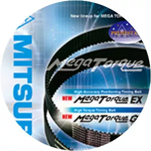 Mitsuboshi Belting Ltd.