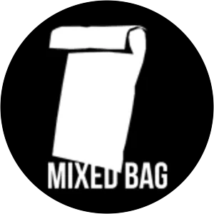 Mixed Bag - Video game developer