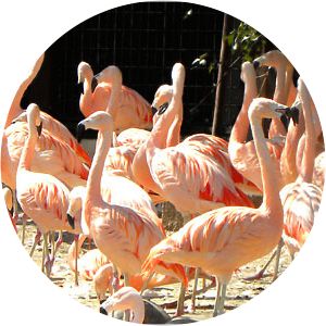 Miyazaki City Phoenix Zoo