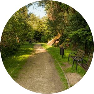 Młynówka Królewska