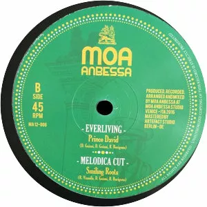 Moa Anbessa - Musical band