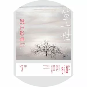 Mobao Feibao - Novelist