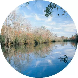 MobileTensaw River Delta