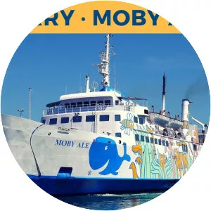 Moby Ale - 