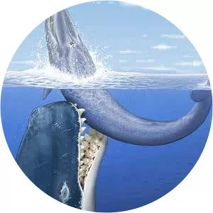 Moby-Dick photograph