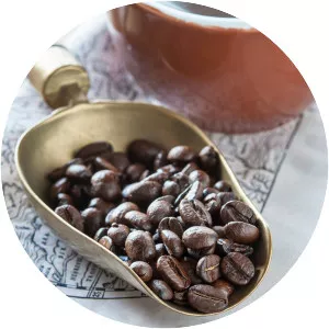 Mocha coffee bean - 