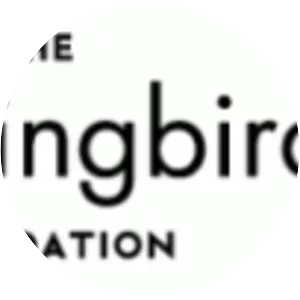 Mockingbird Foundation