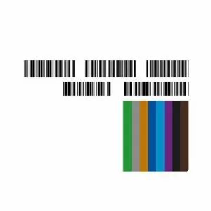 Moderate Rebels - Musical artist