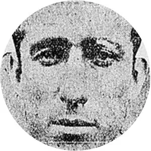 Moderato Wisintainer