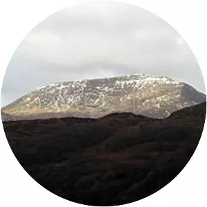 Moel Hebog