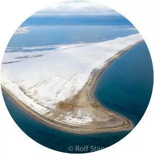 Moffen - Island in Svalbard and Jan Mayen