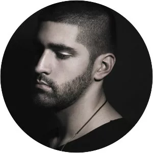 Mogli the Iceburg - Musical artist