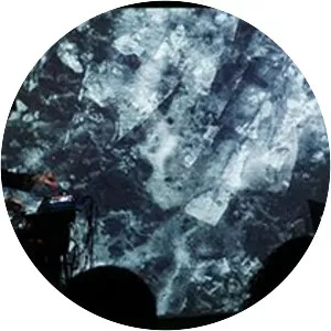 Mohabitat - Musical artist