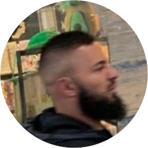 Mohamad Alameddine - Researcher