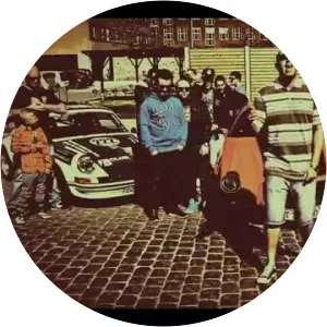 Mohamad Alaviani Musician