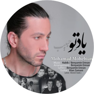 Mohamad Mohebian