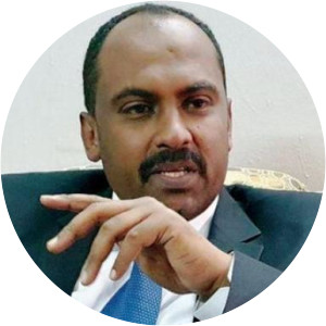 Mohamed al-Faki - Former Member of the Sovereignty Council of Sudan
