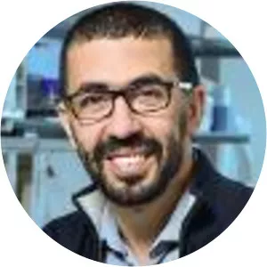 Mohamed-Ali Hakimi - Researcher