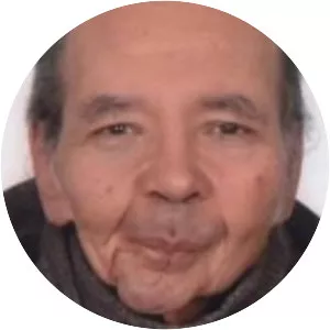 Mohamed Enani - Egyptian translator