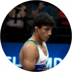 Mohammad Ali Geraei - Wrestler