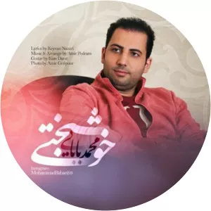Mohammad Babaei photograph