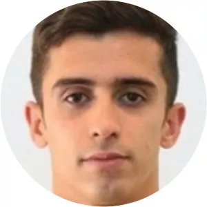 Mohammad Hossein Babagoli