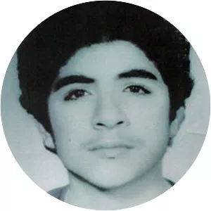 Mohammad Hossein Fahmideh