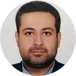 Mohammad Javad Ameri