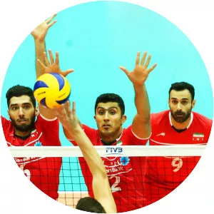 Mohammad Mousavi - Musician