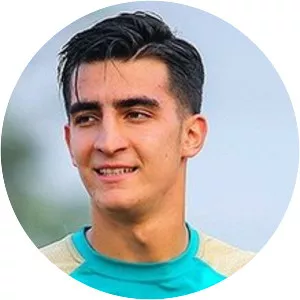 Mohammad Soltani Mehr