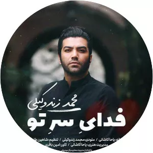 Mohammad Zand Vakili - Musical artist