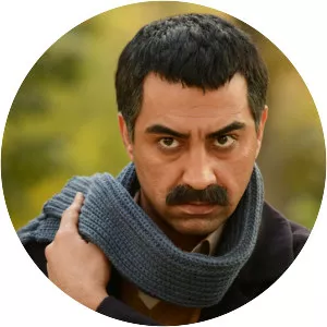 Mohammadreza Alimardani