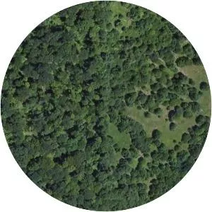 Mohawk Airlines Flight 40