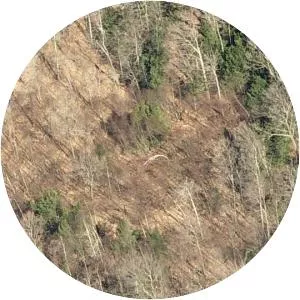 Mohawk Airlines Flight 411 - Airline crash