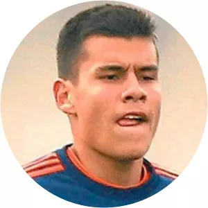 Moisés Villarroel Angulo