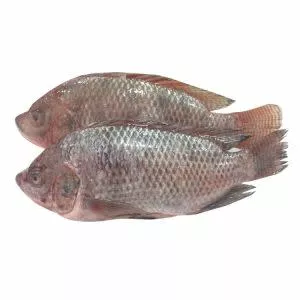 Mojarra