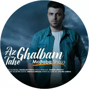 Mojtaba Shoja - Musical artist