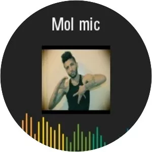 Mol Mic - Musical artist