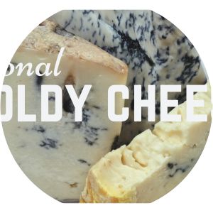 Moldy Cheese Day